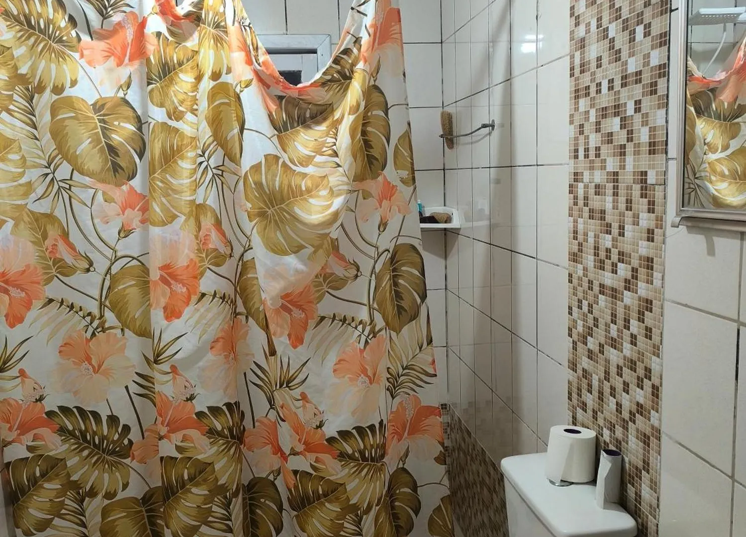 Homestay Quarto 3 Pessoas Suite Privativa E Ar Condicionado Camboriu Brazil